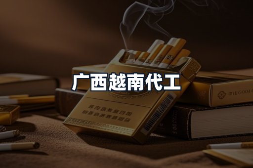 广西越南代工